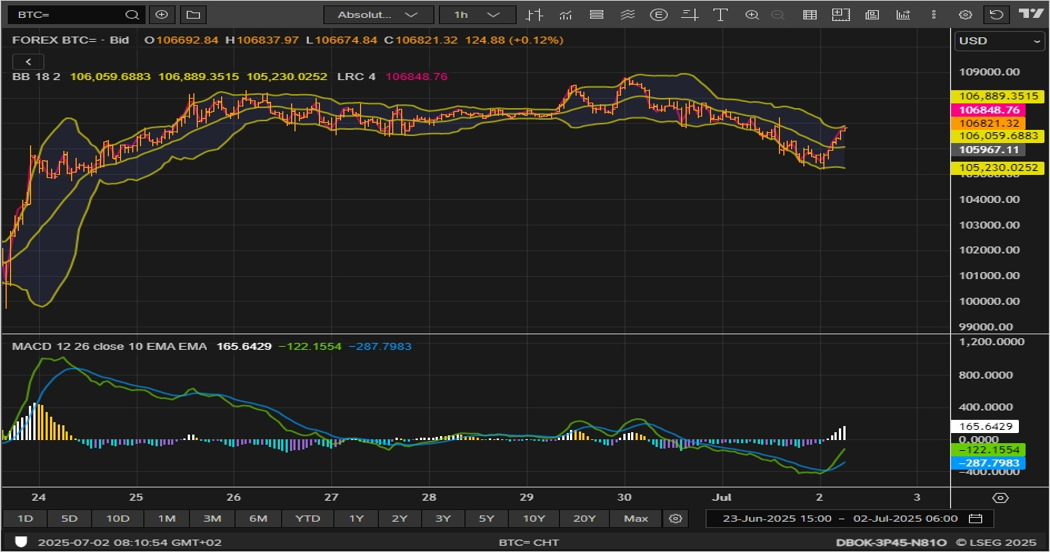 BTC chart on the hourly time frame