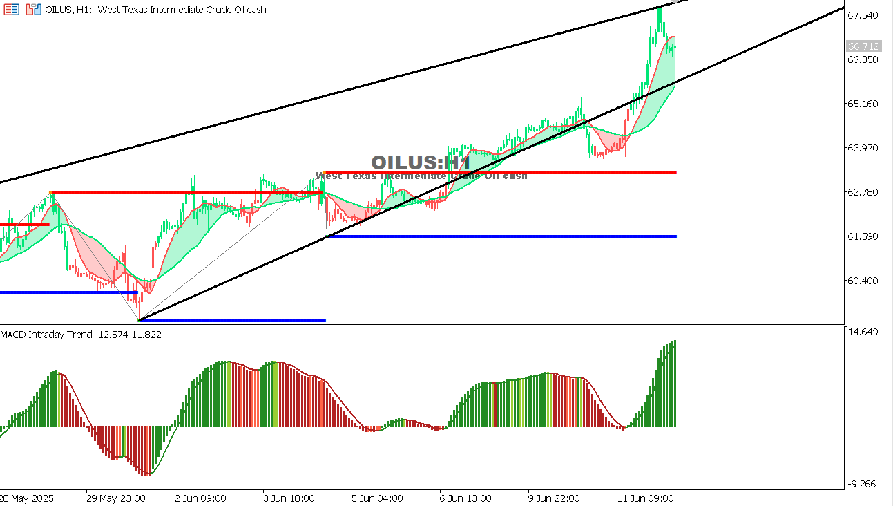 USOIL chart on the hourly time frame