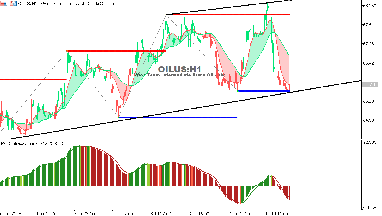 USOIL Chart on the hourtly time frame