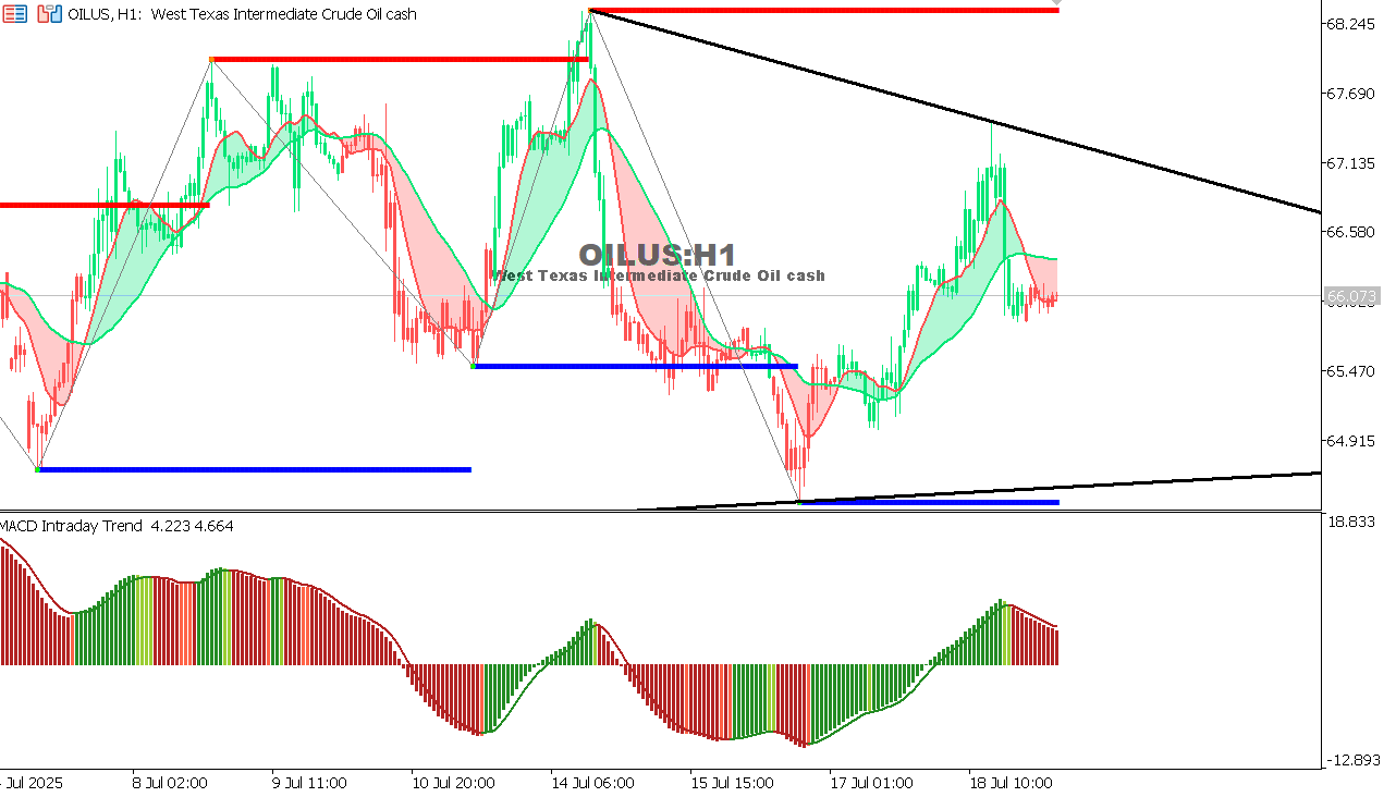 USOIL Chart on the hourtly time frame