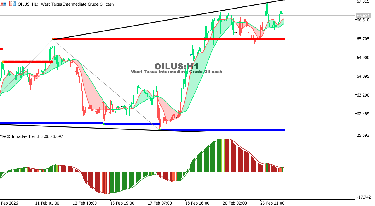 USOIL Chart on the hourtly time frame